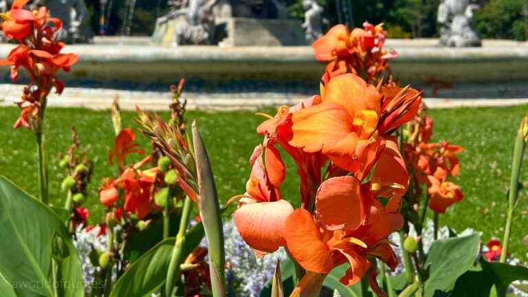 30+ Lovely May Quotes to Celebrate the Beauty of Late Spring