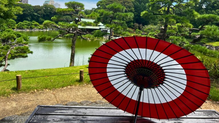 20 Top June Quotes to Celebrate the Start of Summer